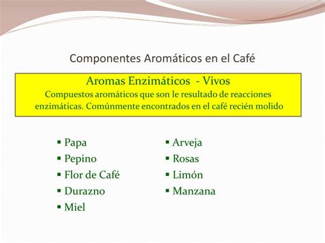 PPT Introducción al Análisis Olfativo del Café PowerPoint