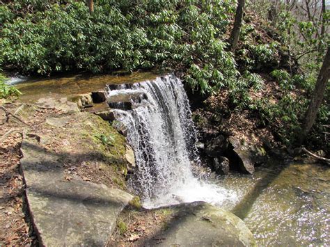 Cole Run Falls Forbes State Forest Barronvale Somerset County Pa