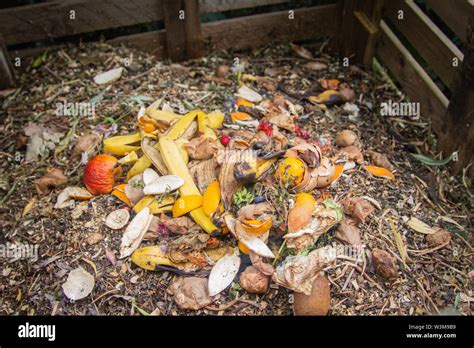 Compost Bin Before And After Fresh Food Waste Placed On Top Of