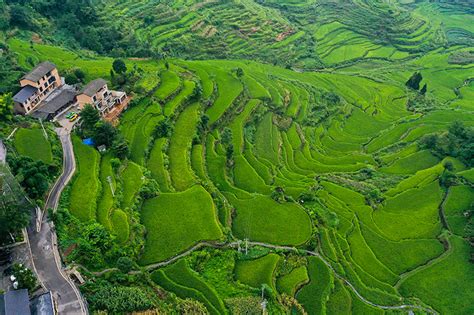 重庆酉阳：农文旅融合让乡村焕发新活力要闻图片中国政府网