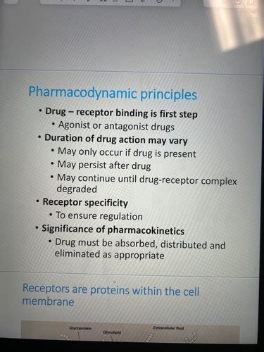 Pharmacodynamics And Pharmacokinetics Flashcards Quizlet