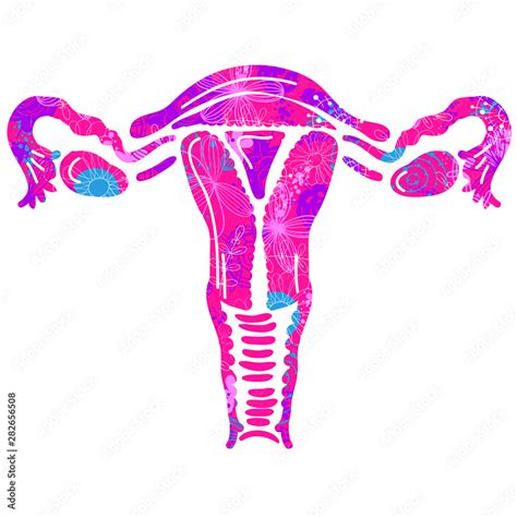 Uterus Womb Major Female Reproductive Sex Organ And Flowers Fight