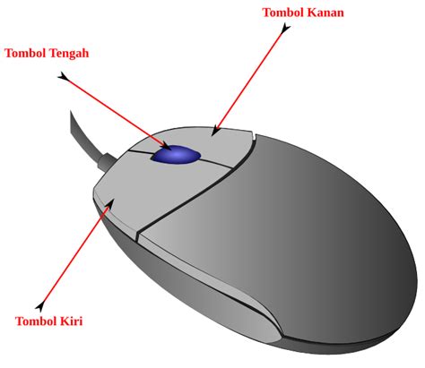 Gambar Mouse Komputer Dan Fungsinya Pulp