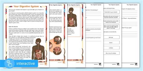 Digestive System Flowchart Display Poster And Activity Pack 48 Off