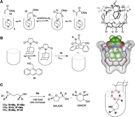 Chemistry And Catalysis In Functional Cavitands Chemistry And Biology