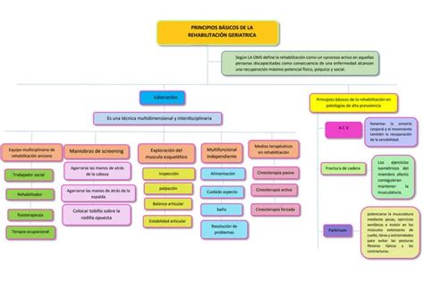 Mapa Conceptual Principios Basicos 1 Pdf