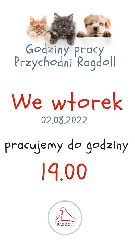 Godziny Otwarcia Przychodni Ragdoll Weterynarz Stargard Przychodnia