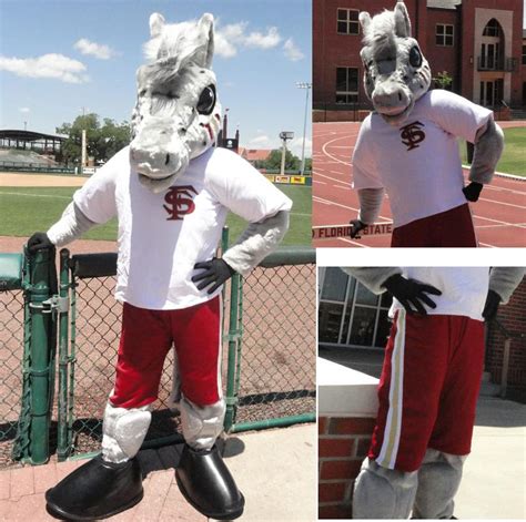 Professional Custom Football Team Horse Mascot Costume Animal Suit ...