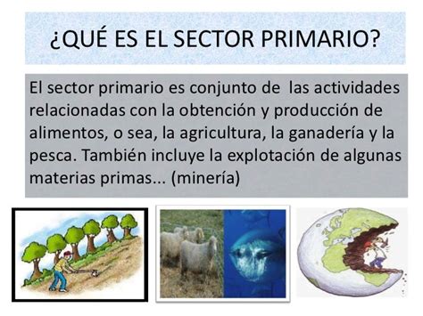 Sector Primario Que Es Definicion Y Concepto 2023 Economipedia Themelower