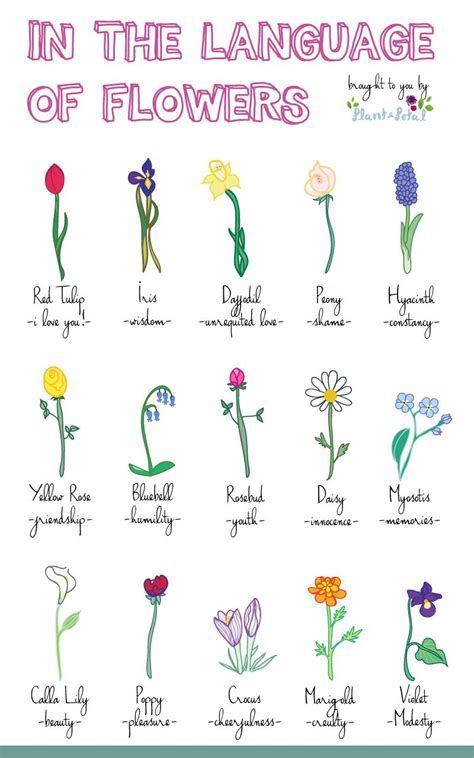 The Language Of Flowers In The Victorian Language Of Flowers Each