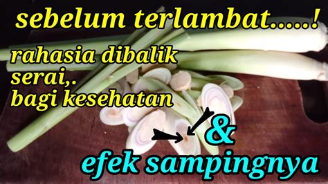 Manfaat Serai Untuk Kesehatan Dan Efek Sampingnya Bagi Tubuh YouTube