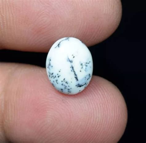 Opale De Dendrite Naturelle Cabochon Ovale Pierre Pr Cieuse L Che