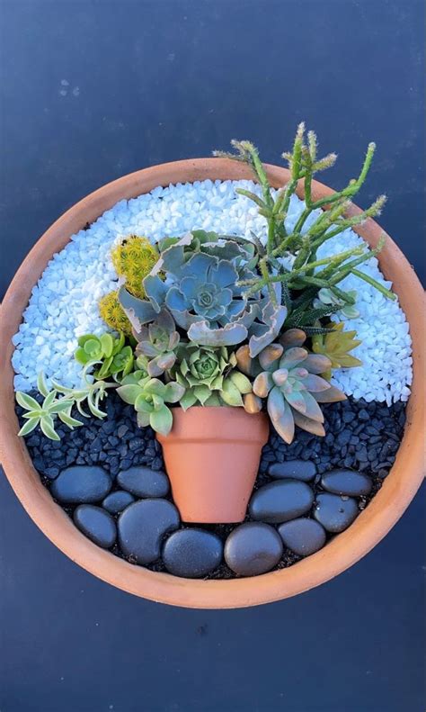 Succulents And Gravel In A Clay Pot On A Black Surface With Pebbles