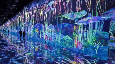 chapter  teamlab planets tokyo attraction expands nipponcom