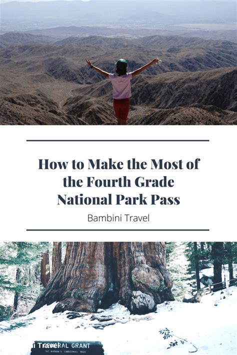 How To Make The Most Of The Fourth Grade National Park Pass Bambini Travel