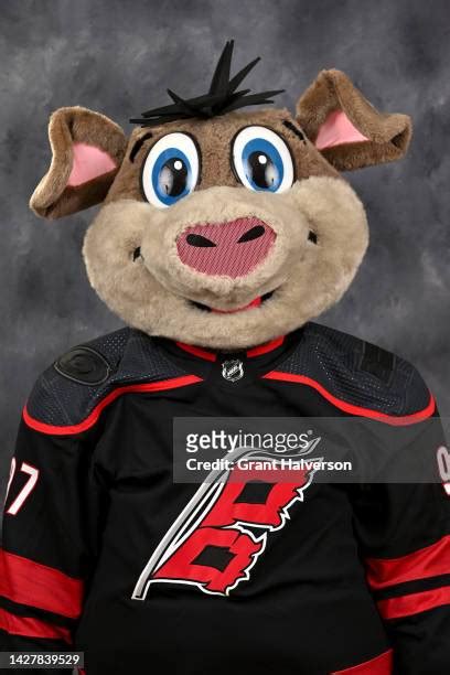 Carolina Hurricanes Mascot Photos and Premium High Res Pictures - Getty ...