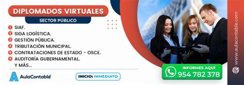 Formas De Acceso Al Sire Y Servicios Principales Del Rvie Y Rce