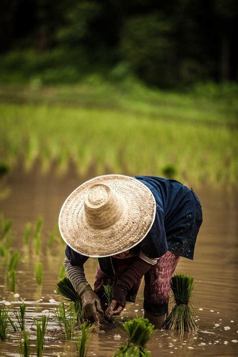 Farmer Wallpapers - Top Free Farmer Backgrounds - WallpaperAccess