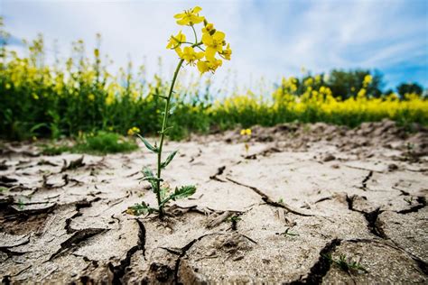 Der Nat Rliche Klimawandel Im Faktencheck Was Ist Dran Goclimate