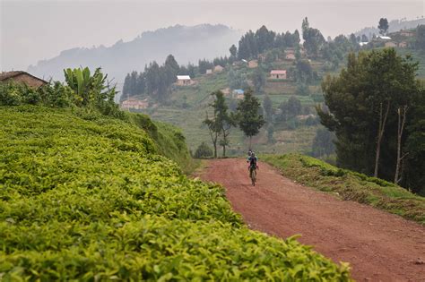 Three Takes on the 2023 Race Around Rwanda - BIKEPACKING.com