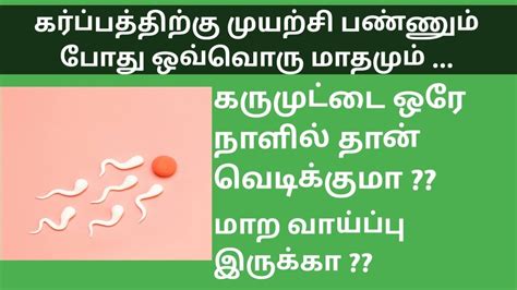 Very Important Ovulation Tips To Conceive Fast Naturally In Tamil