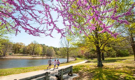 Crowley's Ridge State Park | Paragould, AR | Arkansas.com