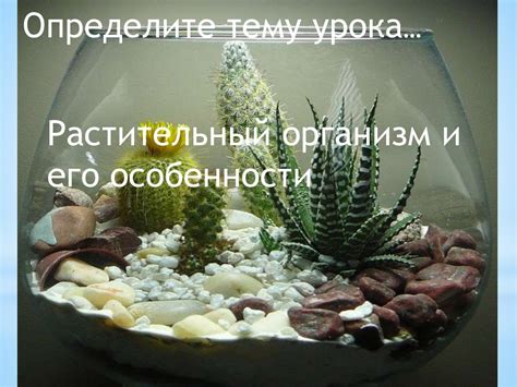 Растительный организм и его особенности - презентация онлайн