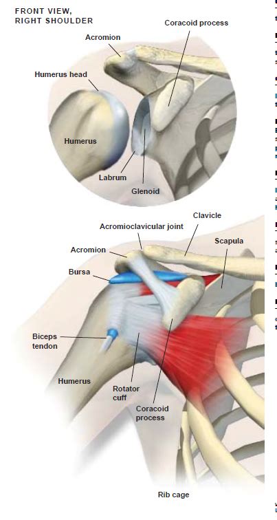 Shoulder Impingement Syndrome St Marys Lewiston Maine