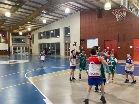 Resumen deportivo de Básquetbol y Voleibol Lycée Claude Gay OSORNO Colegio Francés de OSORNO