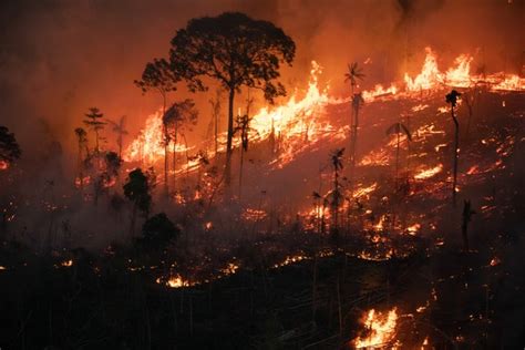 Agosto Responde Por Quase Metade Da Rea Queimada No Brasil Em