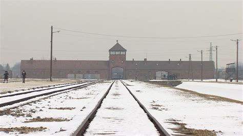 Naked Demonstrators Kill Sheep Under Auschwitz Gates BBC News