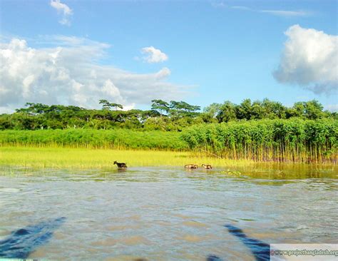 My Photograph: Nature of Bangladesh