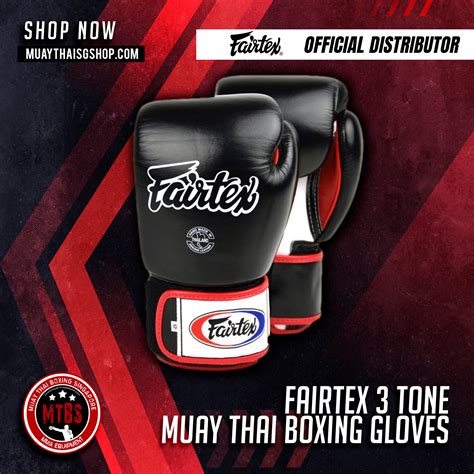 Sg Official Retail Fairtex Muay Thai Boxing Gloves Bgv Tone