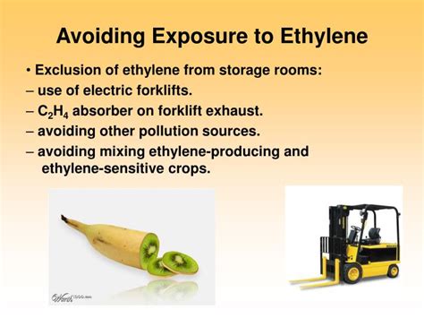 Ppt Ethylene And Fruit Ripening Powerpoint Presentation Id 2686663