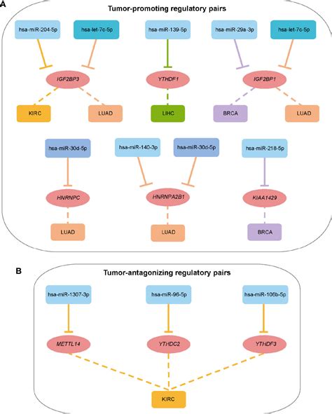 Frontiers Comprehensive Analysis Of Expression Regulation For Rna M6a