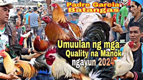 EP 16 Umuulan Ng Mga Quality Na Manok Ngayung 2024 Bentahan Sa Padre