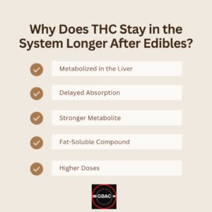 How Long Do Edibles Stay in Your System?