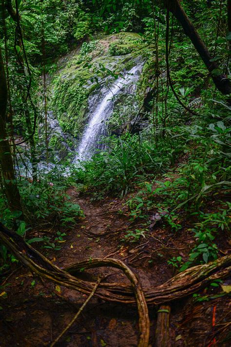 Wasserfall Im Bild Kaufen 13829778 Lookphotos