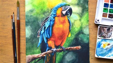 Update more than 163 realistic parrot drawing best - nanoginkgobiloba.vn