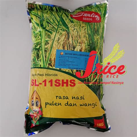 BENIH PADI HIBRIDA SL 11SHS KEMASAN 1 KG Lazada Indonesia