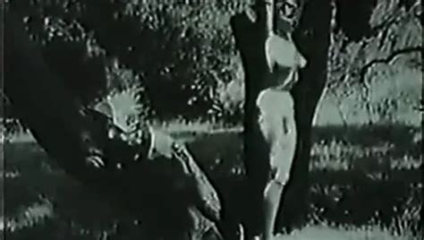 Free Pin Up Porn Videos 5 XHamster