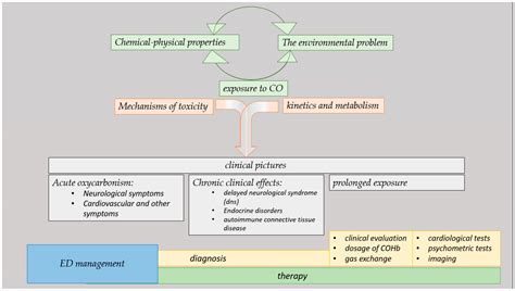 Carbon Monoxide Poisoning: From Occupational Health to Emergency Medicine