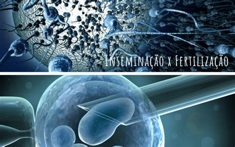 Insemina O Artificial Vs Fertiliza O In Vitro Qual A Diferen A