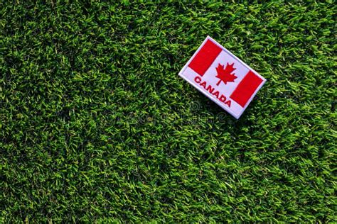 The Flag of Canada on the Green Grass Background. Stock Photo - Image ...