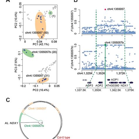 GWAS For Flowering Time Revealed A Peak Centered On The Chromosome 4