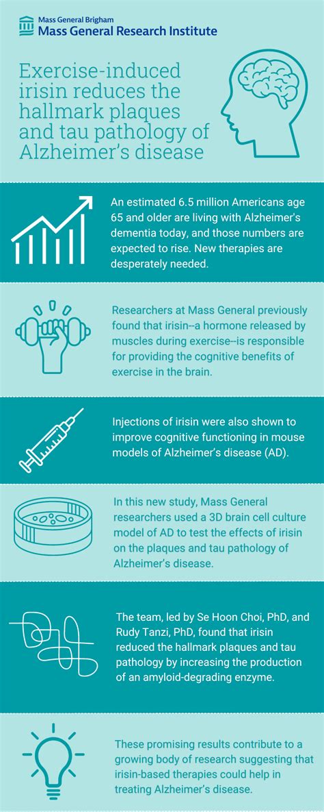 Exercise-Induced Hormone Irisin May Reduce Alzheimer’s Disease Plaque ...