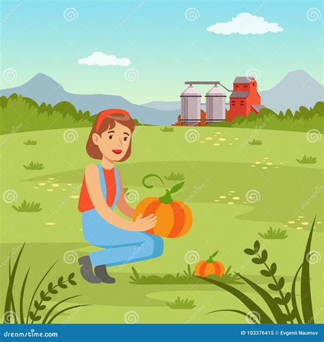 Farmer Woman Harvesting Pumpkins In The Field Agriculture And Farming