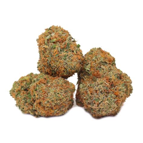 Mango Haze Weedpedia Coupons And Reviews