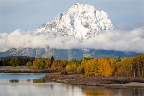 Fall Colors In Jackson Hole Jackson Hole Resort Lodging