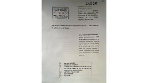 Presentan Tutela De Derecho A Favor Del Presidente Pedro Castillo Que Busca Anular Denuncia